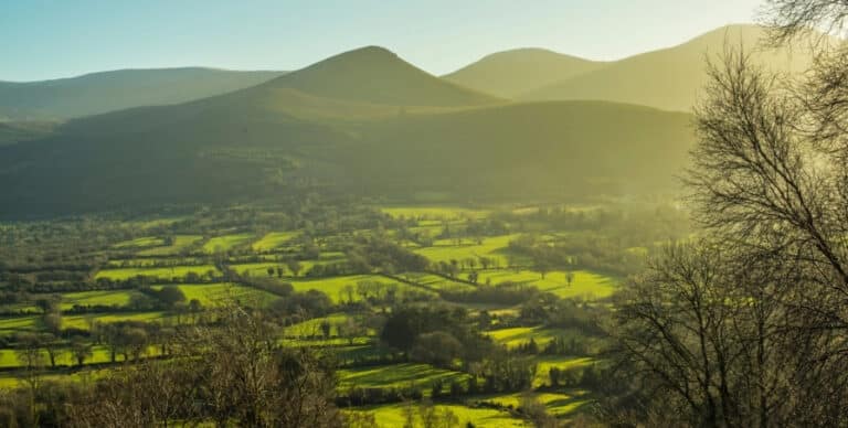 welcome to michael power accountants banner 1