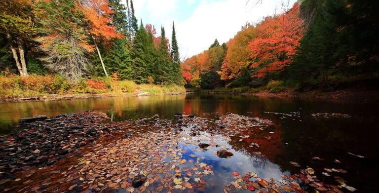 welcome to michael power accountants banner 3